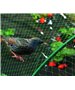 Plasa contra pasarilor Nortene  2 x 10 m