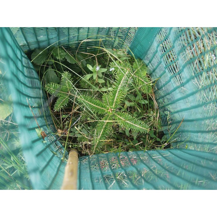 Invelitoare protectie conifere Freiwuchs 500 - 120 cm H