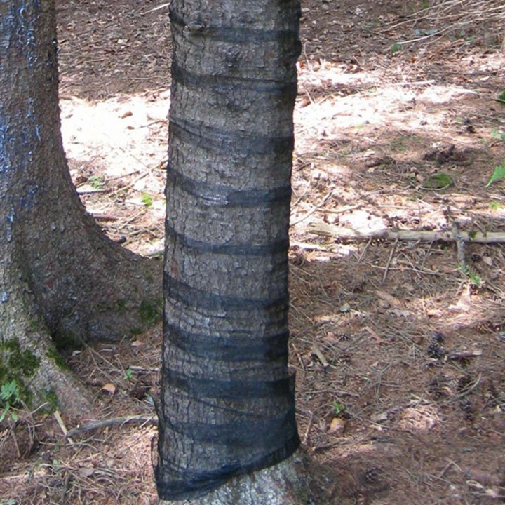 Plasa protectie Mono Poly N Econom - rola 100 m