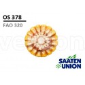 Seminte porumb OS378 - Saaten Union (FAO 370)