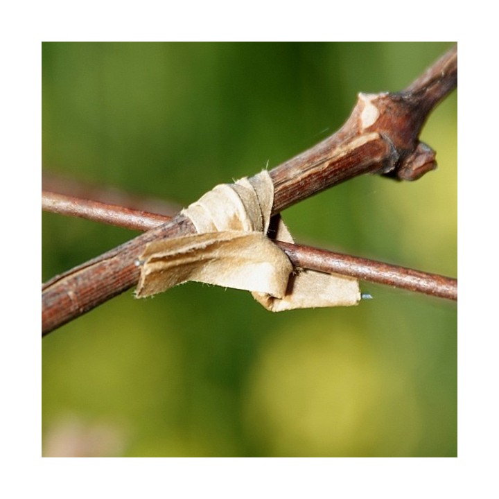 Sarmulita de legat cu invelis hartie - 15 cm