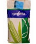 Samanta porumb SY Zephir Syngenta - 50000 boabe.