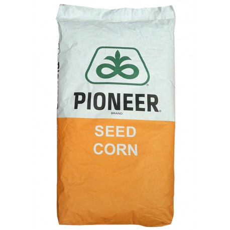 Seminte porumb Pioneer 9074 - 80.000 boabe