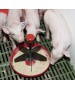 Hranitoare purcei Mini-Piglet Kerbl