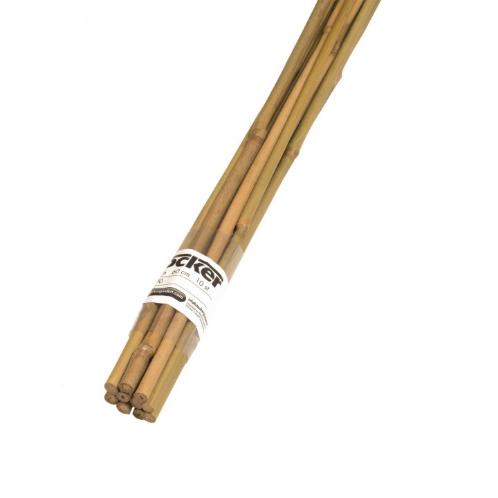 Tutori din bambus (120 cm)
