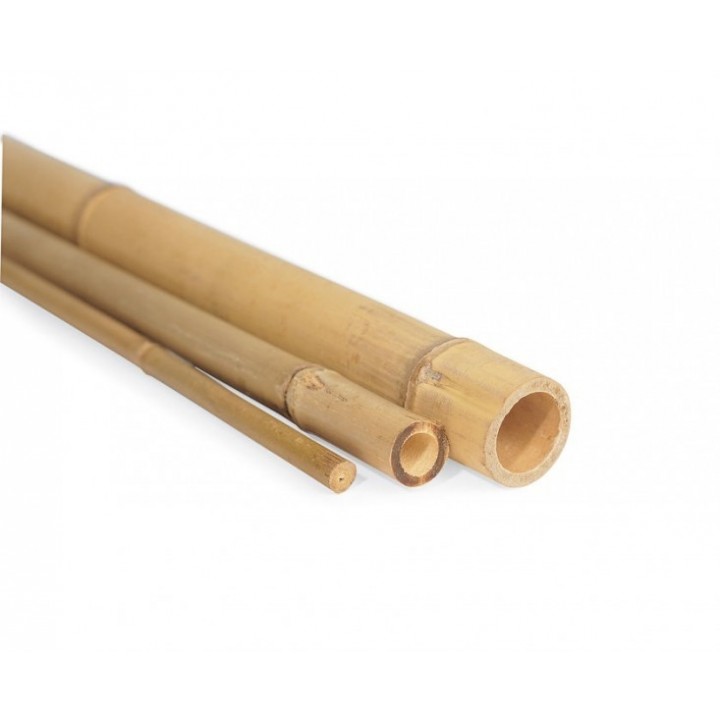Tutori din bambus (150 cm)