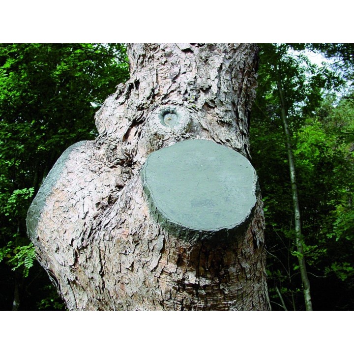 Mastic pentru sigilarea ranilor la pomi Lac Balsam - 200 g Mastic pentru sigilarea ranilor la pomi Lac Balsam - 200 g