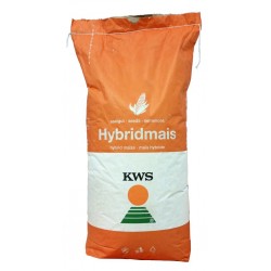 Samanta Porumb KWS KASHMIR, FAO 370, Grupa Plus4Grain - Sac 50.000 boabe