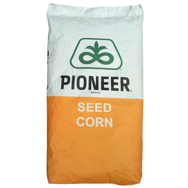 Seminte porumb Pioneer P9757 - 80.000 boabe