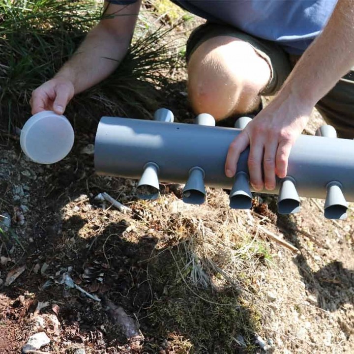 Capcana feromonala WitaTrap Hylobius Abietis - Set