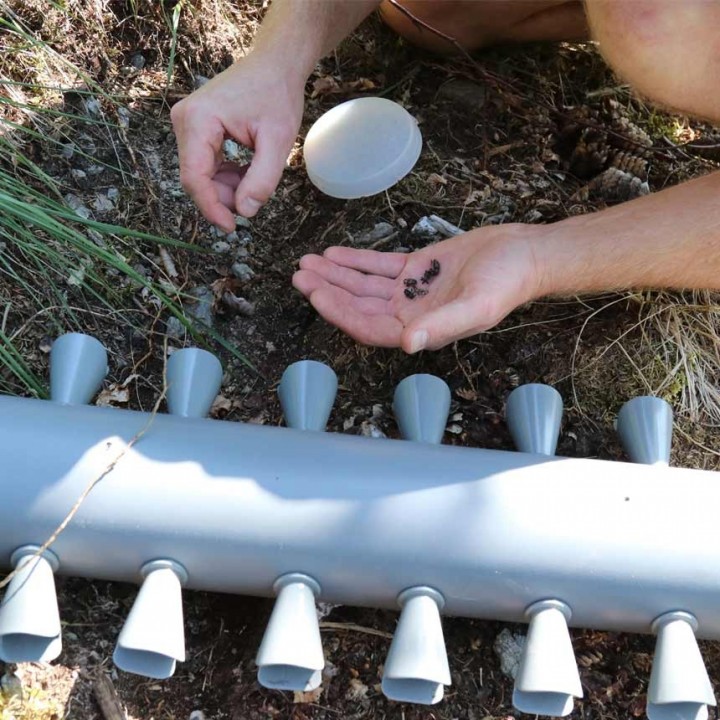 Capcana feromonala WitaTrap Hylobius Abietis - Set