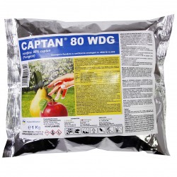 Fungicid CAPTAN 80 WDG - 1 kg, UPL, Contact, Mana, Rapan, Patarea rosie, Patarea cafenie