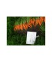 Seminte Morcovi Nantes HEKLA F1 Clause - 25.000 seminte