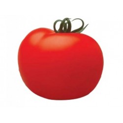 Seminte Tomate CRISTAL F1 Clause - 5 g