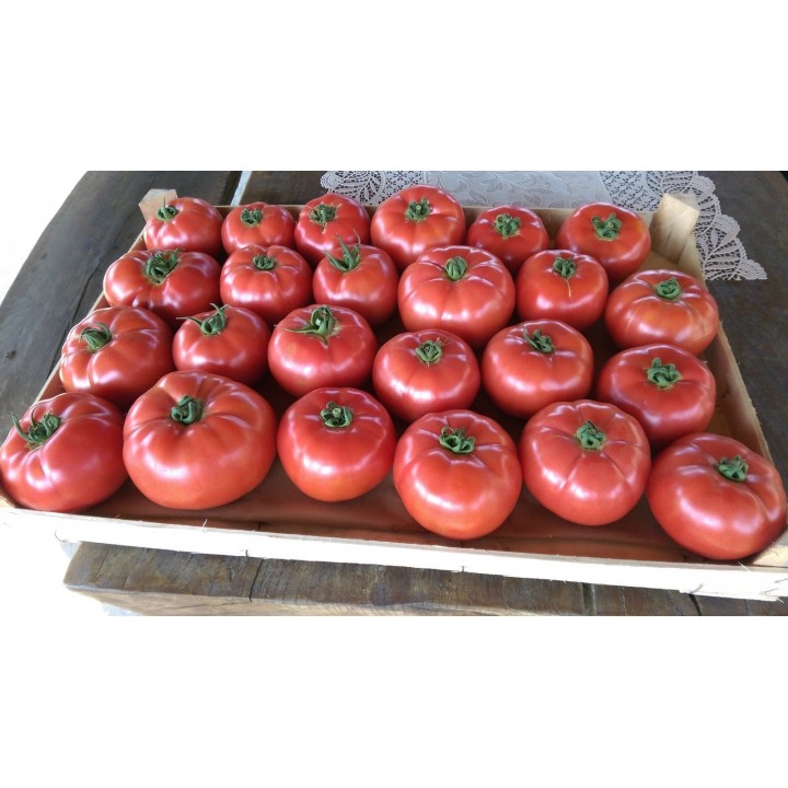 Seminte Tomate APHEN F1 Clause - 250 seminte