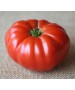 Seminte Tomate BUFFALOSTEAK F1 Clause - 250 seminte