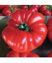 Seminte Tomate BUFFALOSTEAK F1 Clause - 250 seminte