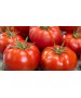 Seminte Tomate GOURMANDIA F1 Clause - 250 seminte