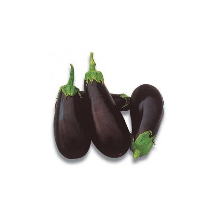Seminte Vinete CLASSIC F1 Clause - 5 g