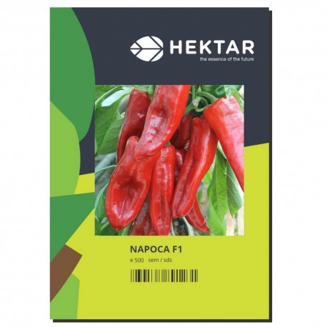 Seminte Ardei lung Kapia NAPOCA F1 Hektar - 500 seminte