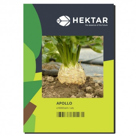 Seminte Telina radacina APOLLO Hektar - 10.000 seminte