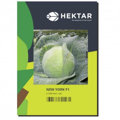 Seminte Varza NEW YORK F1 Hektar - 1.000 seminte