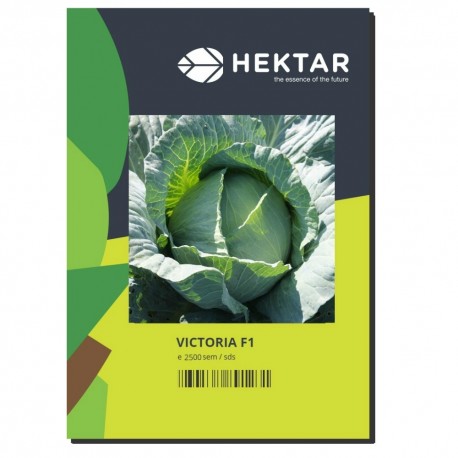Seminte Varza VICTORIA F1 Hektar - 2.500 seminte