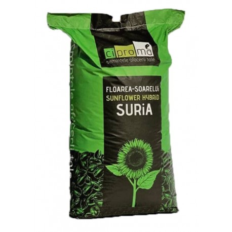 Seminte floarea soarelui SURIA CLP - 75.000 seminte