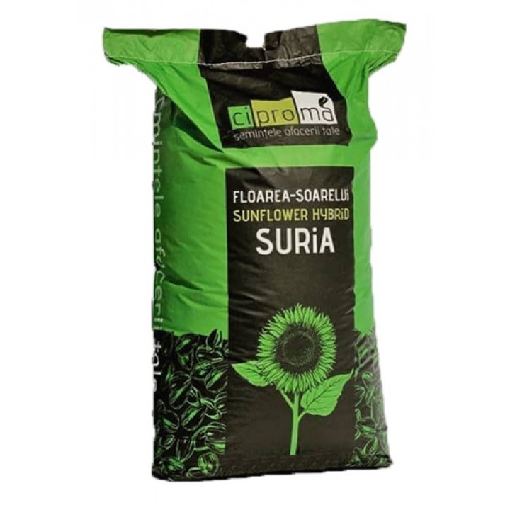 Seminte floarea soarelui SURIA CLP - 75.000 seminte