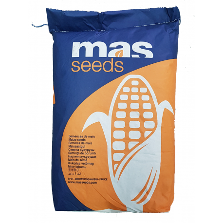 Samanta porumb MAS 24.C Mas Seeds - 50.000 boabe