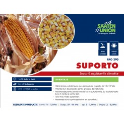 Seminte porumb Suporto - Saaten Union (FAO 290)