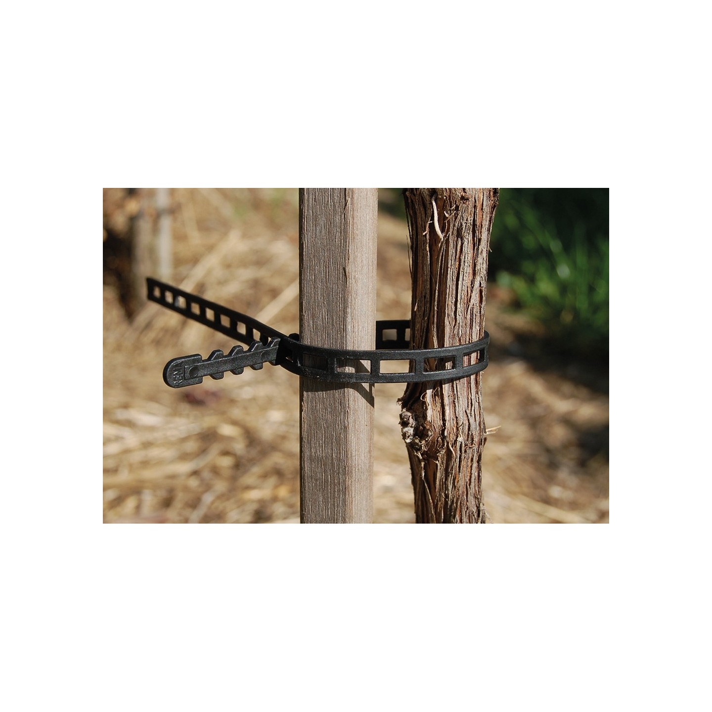 Banda fixare pe tutore REBBAND 235 mm - 250 buc