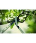 Foarfeca pentru ramuri groase FISKARS PowerGear LX94 M tip bypass