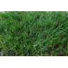Gazon artificial ZURICH EVOLUTION 40 mm - 2 x 20 m