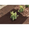 Pasla Anti-Herbas Geotex 80 g/m2 PP - rola 1,6 x 10 m.