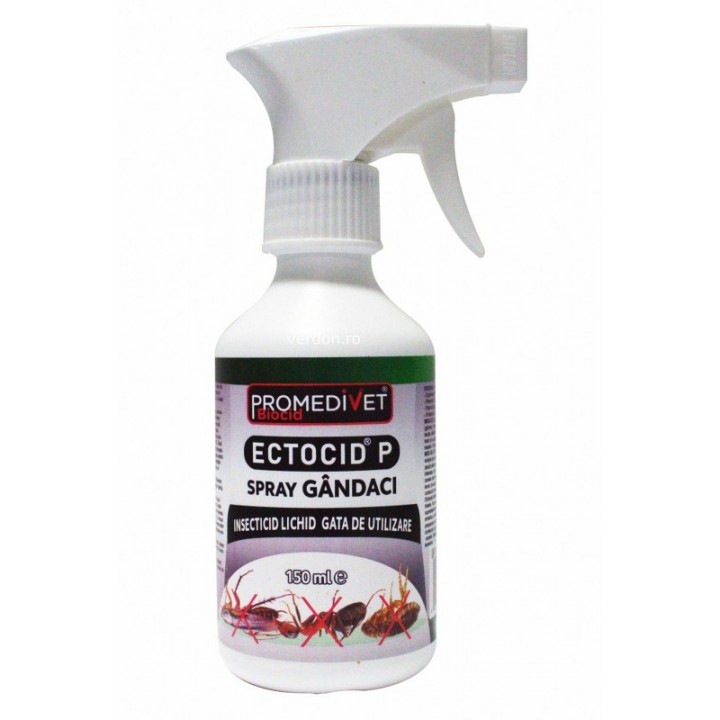 Insecticid ECTOCID P Spray Gandaci - 150 ml
