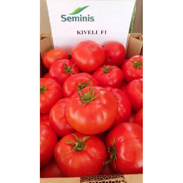 Seminte Tomate KIVELI F1 Seminis - 500 seminte