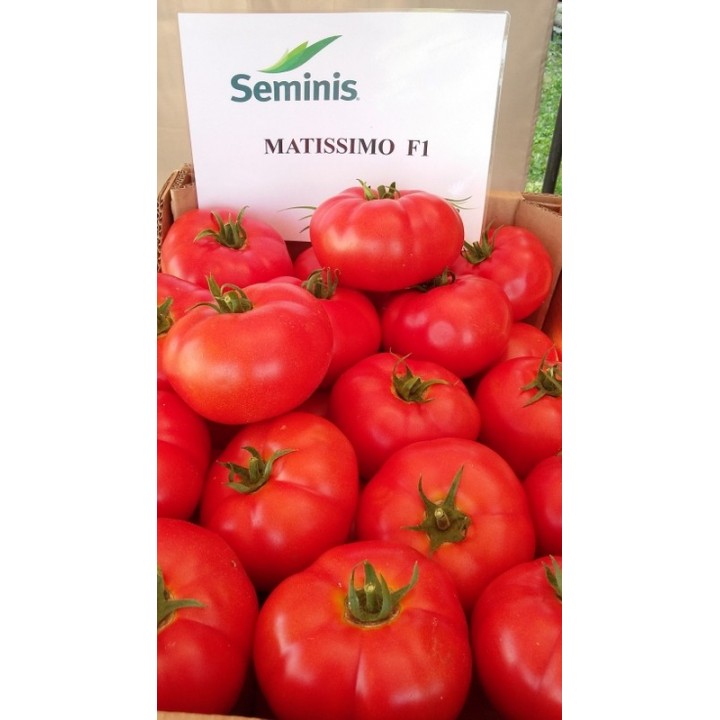 Seminte Tomate MATISSIMO F1 Seminis - 100 seminte Seminte Tomate MATISSIMO F1 Seminis - 100 seminte