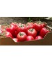 Seminte Tomate MEI SHUAI F1 Seminis - 500 seminte