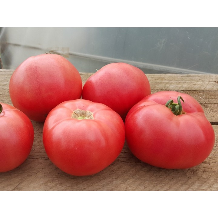 Seminte Tomate MEI SHUAI F1 Seminis - 500 seminte Seminte Tomate MEI SHUAI F1 Seminis - 500 seminte
