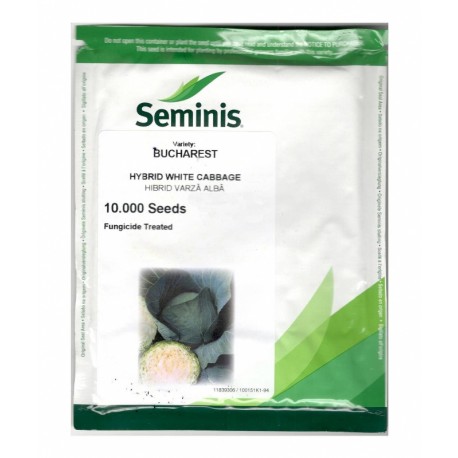 Seminte Varza BUCHAREST F1 Seminis - 10.000 seminte