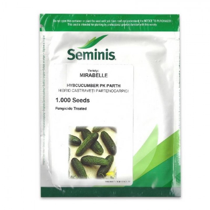 Seminte Castraveti cornichon MIRABELLE F1 Seminis - 1.000 seminte Seminte Castraveti cornichon MIRABELLE F1 Seminis - 1.000 seminte