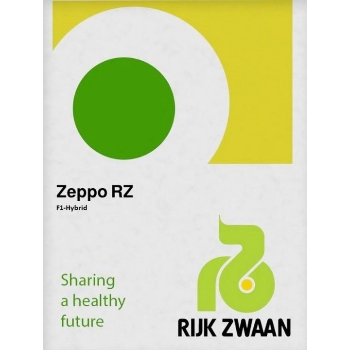 Seminte Sfecla rosie ZEPPO F1 Rijk Zwaan - 25.000 seminte