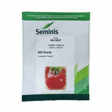 Seminte Tomate BIG BEEF F1 Seminis - 500 seminte