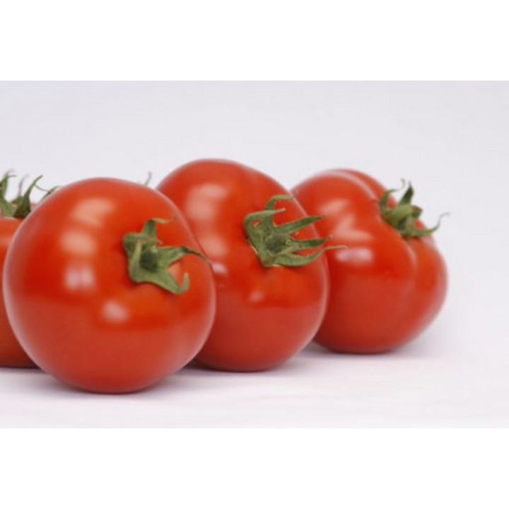 Seminte Tomate ALAMINA F1 Rijk Zwaan - 100 seminte