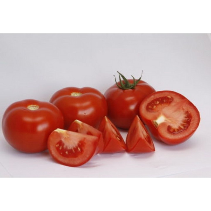 Seminte Tomate ALAMINA F1 Rijk Zwaan - 100 seminte