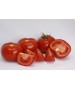 Seminte Tomate ALAMINA F1 Rijk Zwaan - 100 seminte