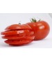 Seminte Tomate MAHITOS F1 Rijk Zwaan - 100 seminte
