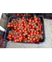 Seminte Tomate cherry CHERAMY F1 Rijk Zwaan - 100 seminte