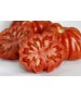 Seminte Tomate RUGANTINO F1 Rijk Zwaan - 100 seminte